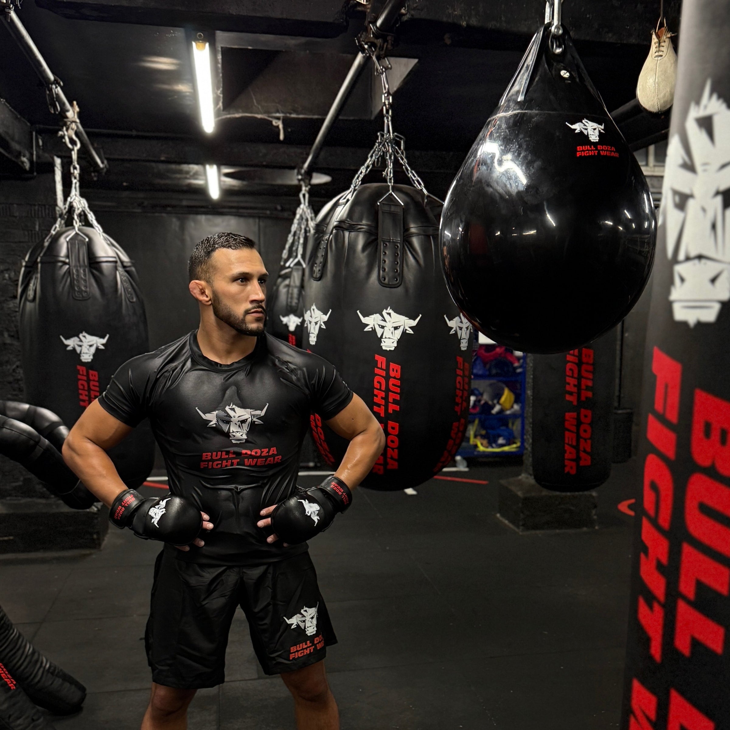 Everlast Punching Bag Boxing Punching Bag Training Fitness With