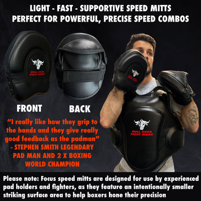 Pair of Boxing Speed Mitts