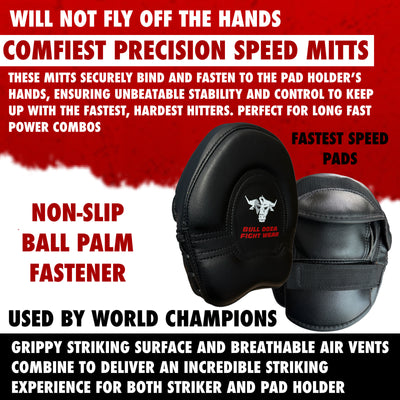 Pair of Boxing Speed Mitts